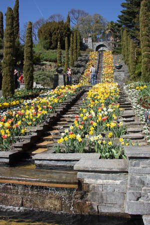 Stone stairs with flowersのeditorial素材