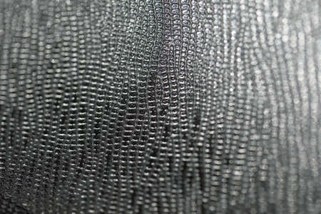 Surface detail (macro)