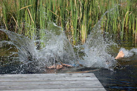 Jump into the waterの写真素材