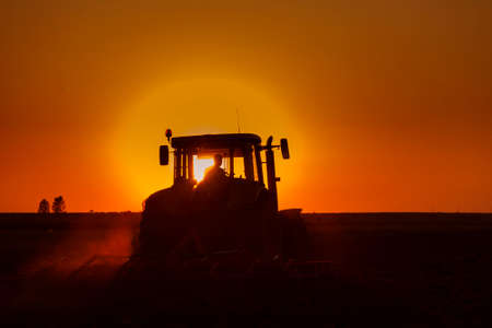 Tractor Plowing in dusk on sunset with crowsの写真素材