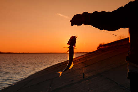 Silhouette of fisherman fishes on river bank against a sunsetの写真素材
