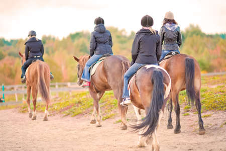 four young girls learning to ride on horse outsideの写真素材