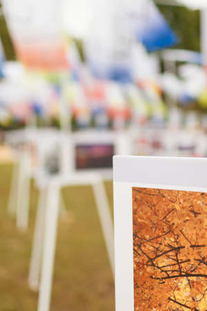 Raw of Paintings in One Line in National Part  Vertical Imageの写真素材