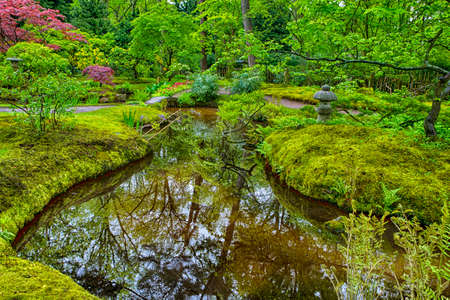 Travel Destinations. Picturesque and Colorful Trees and Leaves of Japanese Garden in The Hague (Den Haag) in the Netherlands. Horizontal Imageの写真素材