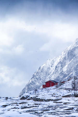 One Lonely Standing Traditional Red Wooden House in Lofoten Islands Slopes Against Cloudy Sky.Vertical Imageの写真素材