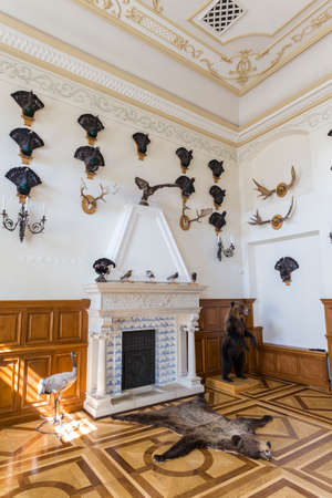 Nesvizh,Belarus-August 5,2017:The Hunting Hall of Castle Used as Transit Corridor to The gallery of The Chapel.Had Trophies of Antlers of Deers, Stuffed Bears, Wood-Grouses and Other Birds and Animals,August 5,2017,Nesvizh,Belarusのeditorial素材