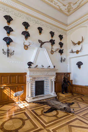 Nesvizh,Belarus-August 5,2017:The Hunting Hall of Castle Used as Transit Corridor to The gallery of The Chapel.Had Trophies of Antlers of Deers, Stuffed Bears, Wood-Grouses and Other Birds and Animals,August 5,2017,Nesvizh,Belarusのeditorial素材