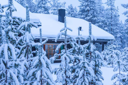 Wooden House With Christms Tree At The Door Located in Tranquil Picturesque Nordic Forest in...