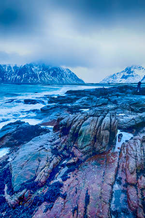 Young Girl Making Pictures At Picturesque Norwegian Skagsanden Beach At Early Spring Time.Vertical Image Orientationの写真素材