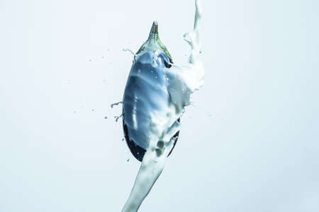 Aubergine With Milk Splashes and Droplets.Horizontal Imageの写真素材