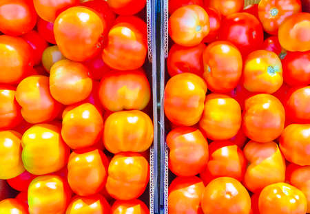 Fresh Red Shiny Tomatoes on Stand Prepared for Sale.Horizontal Imageの写真素材
