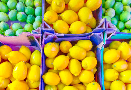 Box of Fresh Yellow Lemons and Green Limes on Stand Prepared for Sale. Hortizontal Image Orientationの写真素材