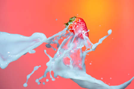 Strawberry Levitating  in Stream of Milk Splashes Droplets. Isolated Against Red Background.Horizontal Imageの写真素材