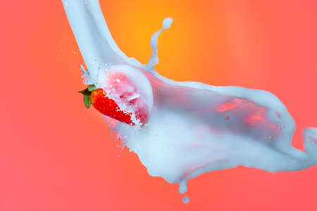 Milk Splashes Around Strawberry. Against Red Background.Horizontal Image Compositionの写真素材