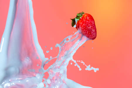 One Strawberry Levitating  in Stream of Milk Splashes Droplets. Isolated Against Red Background.Horizontal Imageの写真素材