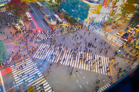 Tokyo, Japan - 12 November, 2019, Shibuya Crossing from Top Observation View at Twilight in Tokyo...