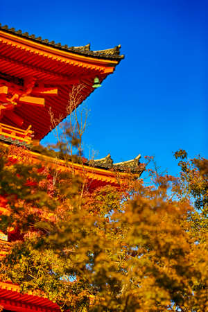 Japanese Religiuos Heritage. Wings of Kiyomizu-dera Temple At Daytime. Traditional Red Maples in Foregound. Vertical Image Compositionのeditorial素材
