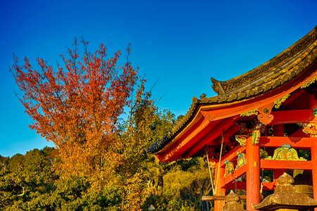 Japanese Religiuos Heritage. Wings of Kiyomizu-dera Temple At Daytime. Traditional Red Maples in Foregound. Horizontal Image Compositionのeditorial素材