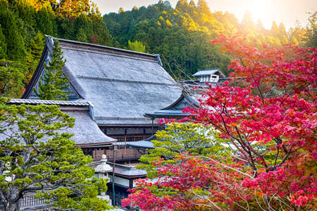Seasonal Japanese Red Maple Trees With Shinto Shrine on Koyasan Mountain. Horizontal Imageのeditorial素材
