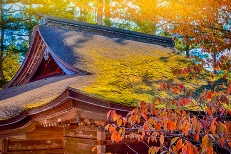 Wooden Top of Traditional Japanese Shinto Shrine Overgrown With Moss. Horizontal Image Orientationのeditorial素材