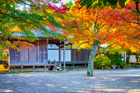 Tranquil Yard of Tradtional Wooden Shinto Shrine With Seasonal Red Maple Trees At Koyasan Mountain At Fall. Horizontal Shootのeditorial素材