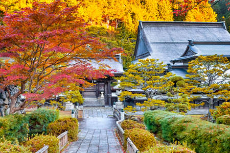 Seasonal Red and Yellow Japanese Maple Trees With Shinto Shrine on Koyasan Mountain in Japan. Horizontal Imageのeditorial素材
