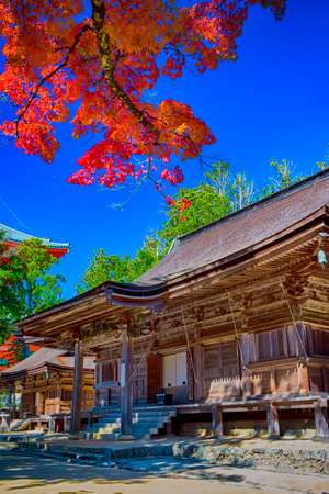 View of Danjo Garan Sacred Temple with Line Seasonal Red Maples at Mount Koya in Japan. Vertical Image Compositionのeditorial素材