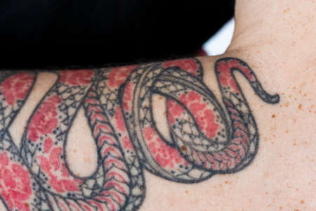 Caucasian Female Artistic Snake Tattoo Closeup . Horizontal Image Orientationの写真素材
