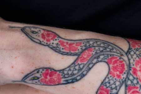 Caucasian Female Artistic Snake Tattoo Closeup . Horizontal Imageの写真素材