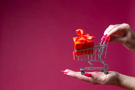 Market Shop Purchasing Concepts. Female Woman Hand Holding Mockup Small Tiny Shopping Cart Trolley...