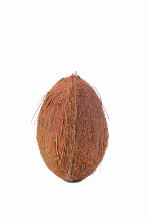 Pair of Fresh Coconut Placed Isolated Over Pure White Background. Vertical Image