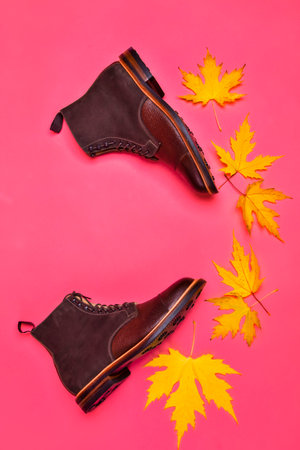 View of Premium Dark Brown Grain Brogue Derby Boots Made of Calf Leather with Rubber Sole Placed With Yellow Maple Leaves Over Pink. Vertical Imageの写真素材