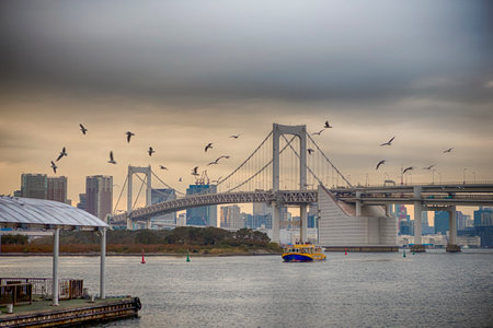 Famous Rainbow Bridge In Tokyo With Flock of Birds Flying Over Harbour and Tourist Boat on Water in Background. Horizontal image Compositionの写真素材