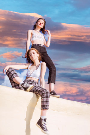 Caucasian Women Sitting on Stone Fence Smiling and Posing Connected As Enjoying Their Time Together Against Blue Sky. Vertical Shotの写真素材