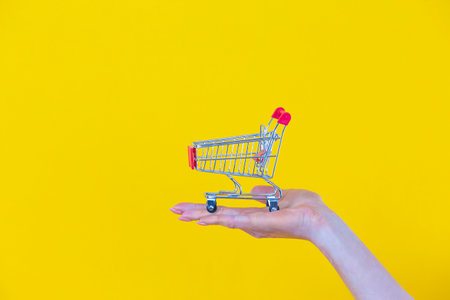 Hand of Female Holding Mockup Small Tiny Shopping Cart Trolley Against Trendy Yellow Orange...