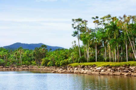 Tropical park Nong Nuch in Thailand.の写真素材