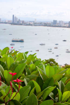 beautiful view on cityの写真素材