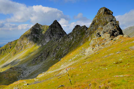 Hiking in Carpathians mountainsの写真素材