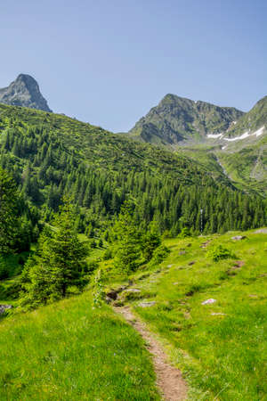 Path in Carphatian Mountains leading to summitの写真素材