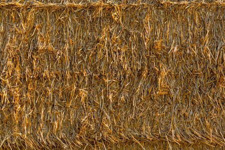 Close up of a straw bales background.Straw bale texture.の写真素材