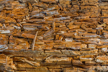 Rotting wood texture. Rotten pine tree trunk with chipped layers of wood, texture. Flaking splitting pine wood background texture.の写真素材