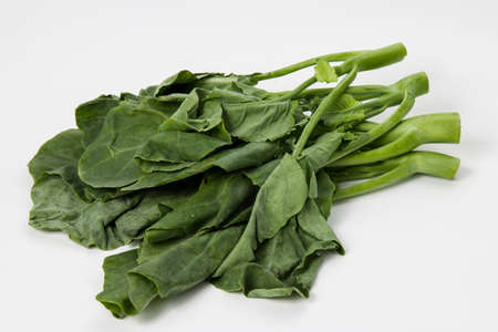 Kai-lan (also written as gai-lan) is the Cantonese name for a vegetable that is also known as Chinese broccoli or Chinese kaleの写真素材