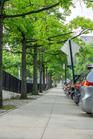 People walking down a sidewalk with cars parked along the curb.の写真素材