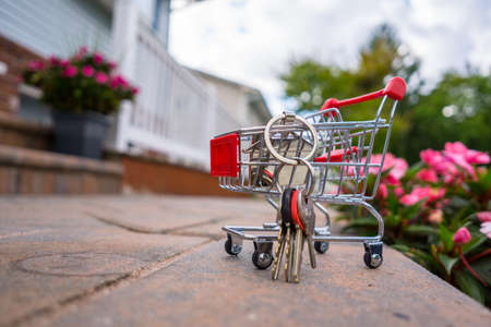 a house shape key chain with keys in a mini shopping cart in fornt of a house