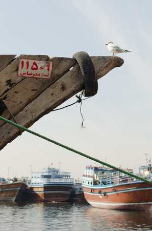 Traditional dhow boat moored up at dubai creek dubai with a seagull perched on the bowのeditorial素材