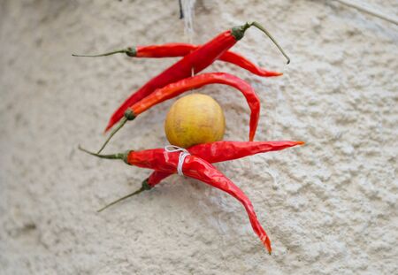 hanging drying red chilliesの写真素材
