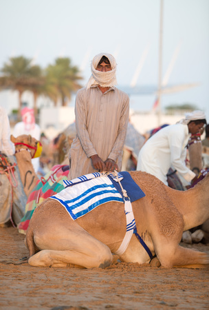 Dubai camel racing club camel and young keeper.のeditorial素材
