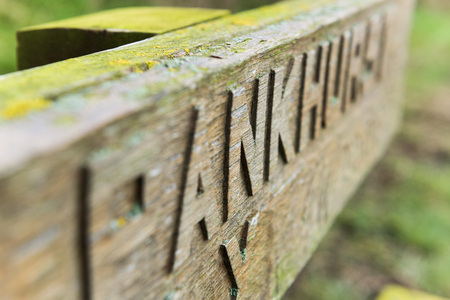 Hand carved chiseled letters on an old wooden bench covered in mossの写真素材