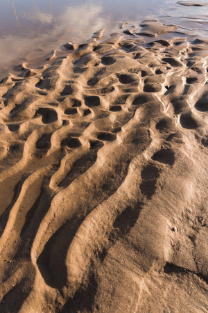 Ripple textures in the sand at sunset on a warm golden beachの写真素材