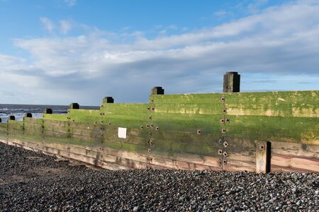A rustic, weathered wooden sea defence wall, covered in green algae on a beautiful sunny dayのeditorial素材